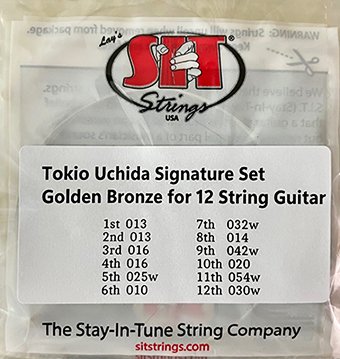 SIT：打田シグネチャー・セット Golden Bronze12弦ギター用 お買い得２セット